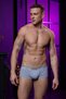 Gray Short Hipster Men's Boxers