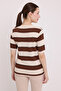 Women's Coffee Cream Striped Short Sleeve Blouse 15869 - 5