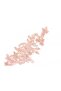 Lace Applique