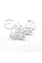 Plastic Masura 5 Pack - 5