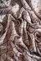Women's Soft Scarf Pack (Coffee Cream-Coffee-Milk Coffee) - 6