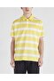 Men's Knitted Polo Shirt C.wCotton