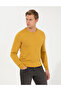 Mustard Slim Fit Turtleneck Basic Knitwear Sweater 50257158-Vr072 - 3