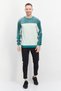Men Sportswear Fit Crew Neck Brand Logo Sweatshirts, Green - 4