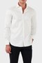 Men's Cotton Regular Fit Shirt - 6D1C86 1Niuz F120