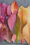 Wall Cloth Colorful Leaves Quality Canvas Wall Carpet-3989 - 2
