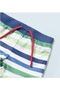 Baby Boy 2-Pack Shorts Swimsuit 1650 - 4