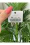 Steel Colorless Invoiced 6-Piece Women's Earrings - 2