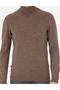 Light Brown Slim Fit Turtleneck Wool Blend Basic Knitwear Sweater 50270052-Vr002 - 6