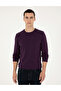 Purple Slim Fit Crew Neck Basic Sweater 50296575-Vr038 - 3