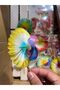 Colorful Fan Toothpicks Peacock 14cm 25 Pieces/Pack Presentation, Cocktail, Birthday, Cake Toothpick - 2