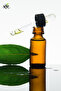 Pure Laurel Leaf Oil Glass Bottle with Dropper - 3