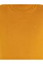 Safran Slim Fit Turtleneck Wool Blended Basic Knitwear Sweater 50257302-Vr043 - 6