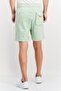 Men Embroidered Logo Basic Shorts, Mint Green - 3