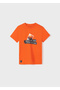 Boy's Summer T-Shirt Shorts Set of 3 6644 - 3