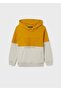 Boy's Pullover 6442 - 4