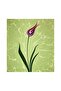 Marbling Paint Starter Set - 4
