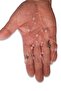 Natural Pink Quartz Stone Glasses Rope 129-5 - 2