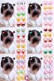 Durable Girl's Rubber Buckle Set with Colorful Mixed Figures - Adorable Baby Rubber Buckle - 2