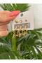 Steel Colorless Invoiced 6-Piece Women's Earrings - 2