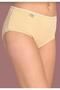 0924 Women's Lycral Bato Panty 12 Pieces