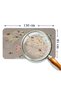 Educational World Map World Atlas Children's and Baby's Room Wall Sticker-85x130-3817 - 4