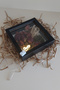 إطار ذاكرة LED مقاس 20x20x5 سم! صندوق تخزين الزهور موديل جديد - 4