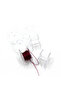 Plastic Masura 5 Pack - 2
