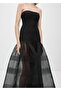 Corset Dress with Semi-Transparent Skirt - 6