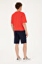 Men's Navy Blue Knitted Shorts 50289287 -Vr033 - 4