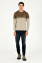 Men's Khaki Sweater 50293538 -Vr027 - 4