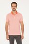 Men's Pomegranate Flower T-Shirt 50282784 -Vr039