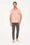Men's Pomegranate Flower T-Shirt 50282784 -Vr039 - 4