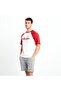 Men's T-shirt EM009-1-BRD