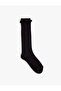 Basic Long Sock - 2
