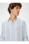 Basic Shirt Long Sleeve Buttoned Cotton