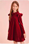 Ruffle Detailed Velvet Dress