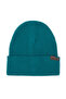 Petrol Beret 50280272-250