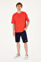 Men's Navy Blue Knitted Shorts 50289287 -Vr033 - 3