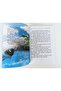 3. My Set of Class Children's Literature (4 Books) - 3