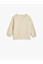 Basic Sweatshirt Crew Neck Long Sleeve Ribbed Cotton Blend