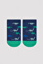 Boy's Time of Dino 4-Piece Booties Socks - 5