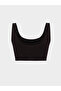Trendlucky Without Underwire Without Padding Plain Seamless Sports Bra - 2