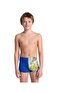 Boy's Arena Swim Short Multi Grey Royal - 2
