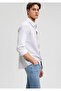 Gray Striped Linen Slim Fit Shirt -0210871-80018
