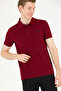 Men's Plum Basic Polo Neck T-Shirt 50262933-Kr0215
