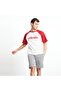 Men's T-shirt EM009-1-BRD - 3
