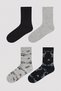 Boy's Dino Time Multicolored 4-Piece Socks