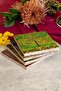 Gustav Klimpt 4-Piece Stone Coaster Set Gustav01 - 3