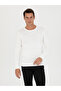 White Slim Fit Cotton Blend Crew Neck Knitwear Sweater 50270175-Vr013